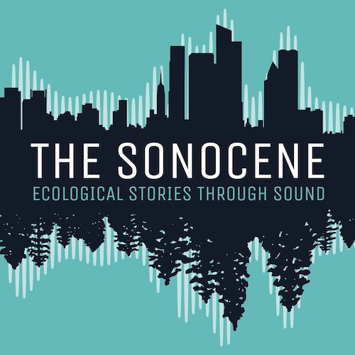 The Sonocene
