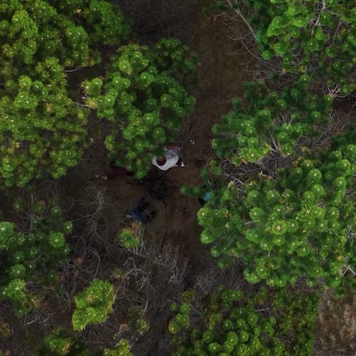 A Song For Lost Trees - Konstantine Vlasis x Apex